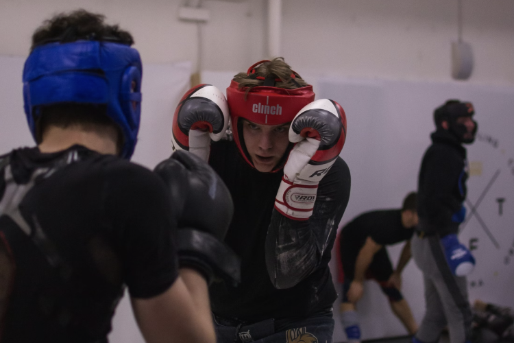 Software für MMA-Studios